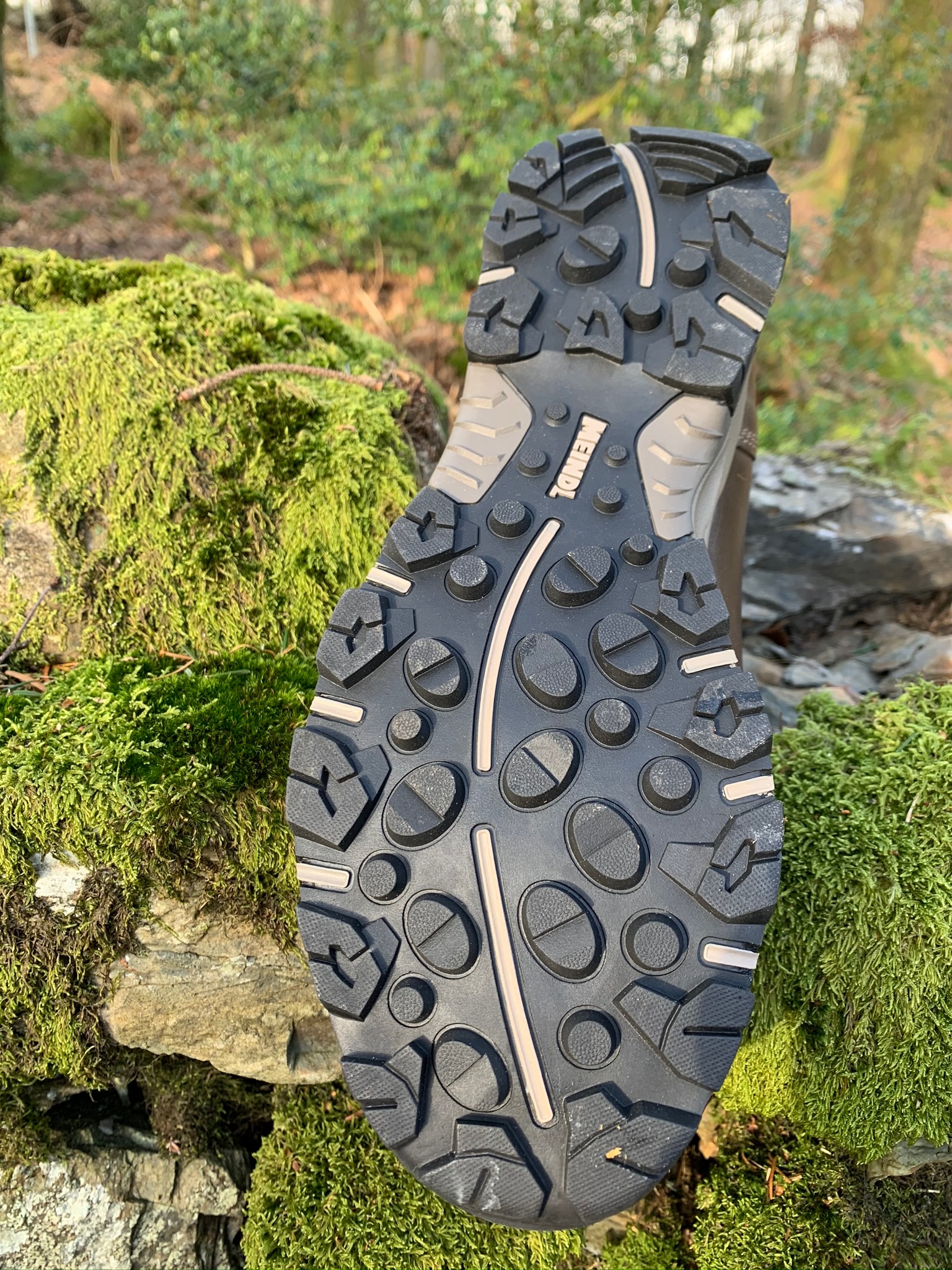 meindl peru gtx boots